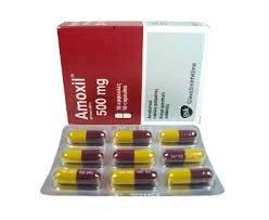 Moxilin 500 mg