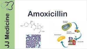 Amoxicillin 500 clavulanic acid 125, amoxicillin cost cvs