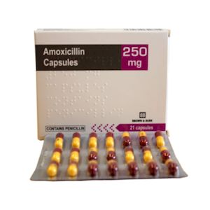 Ciprofloxacin amoxicillin