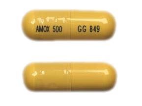 is amoxicillin safe for seniors