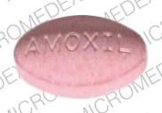 Amoxicillin chlamydia male