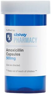 Amoxicillin 500mg for strep throat