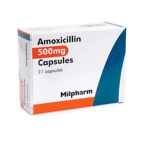 Amoxicillin at walmart, fish mox for sinus infection, taking expired amoxicillin