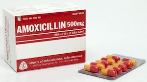 Amoxicillin trihydrate