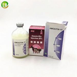 Amoxicillin 200