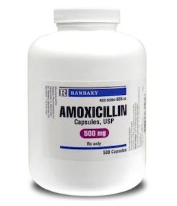 Gpo mox 500, teva 3109, amoxicillin price cvs