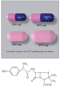 Amox clav strep, amoxicillin take with food