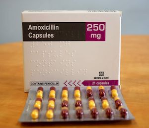 Amoxicillin online