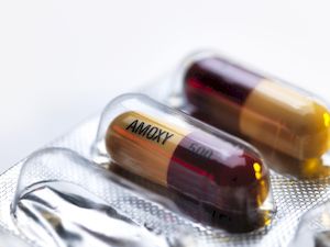 Amoxicillin cure std, amoxicillin capsules 250mg, amoxicillin for eye infection