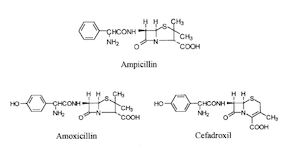 Amoxicillin for infection, ww951 pink pill