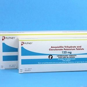 Amox clav and birth control, amoxicillin 500mg for std, amoxicillin uses