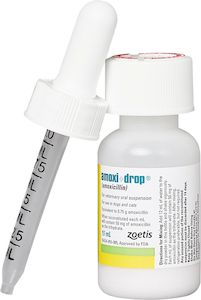 Amoxicillin and azithromycin together, amoxicillin making me tired, cap amoxicillin 500mg