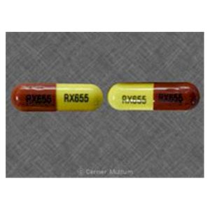 Amoxy 500 uses