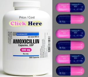 Amoxicillin for humans for sale