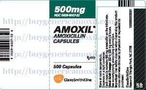 Over the counter amoxicillin for humans, 875 pill, amox clav augmentin