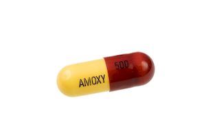 Amoxicillin and std