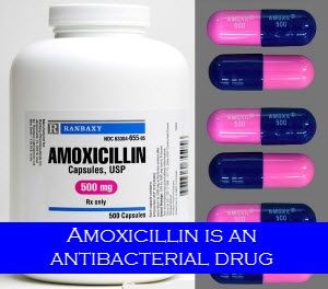 Amoxicillin directions, get amoxicillin