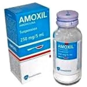 Amoxicillin price without insurance