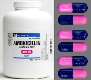 Ceftriaxone and amoxicillin