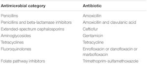 Amoxicillin and clavulanate potassium 625mg, gimalxina amoxicillin 500mg