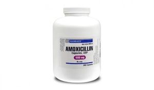 Amoxicillin prescribing information