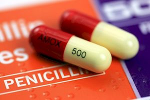 Amoxicillin online without prescription