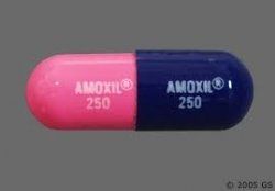 Amoxicillin for stomach pain