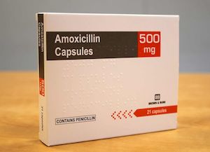 Amoxicillin price at cvs, clavulanate